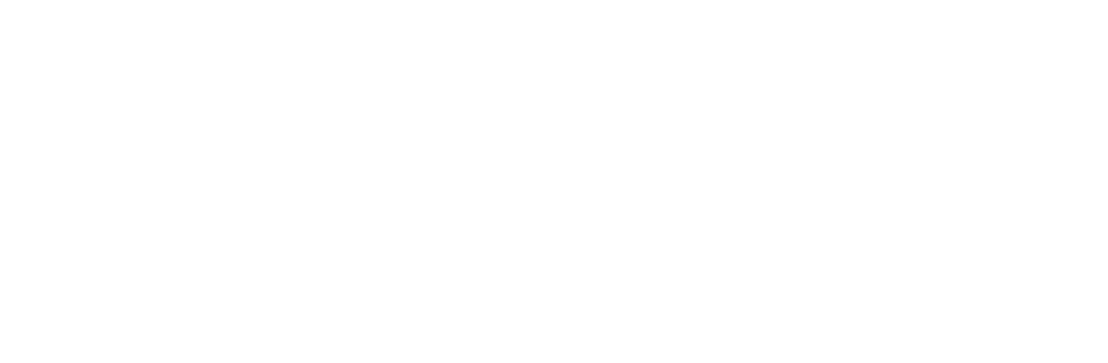 Arena Nexa Logo